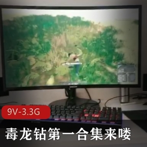 独龙钻第一合集：温润小小嘴亲舐G门，名场面电风扇飞机B灌酒精按摩B主持人游戏真正吃鸡观看